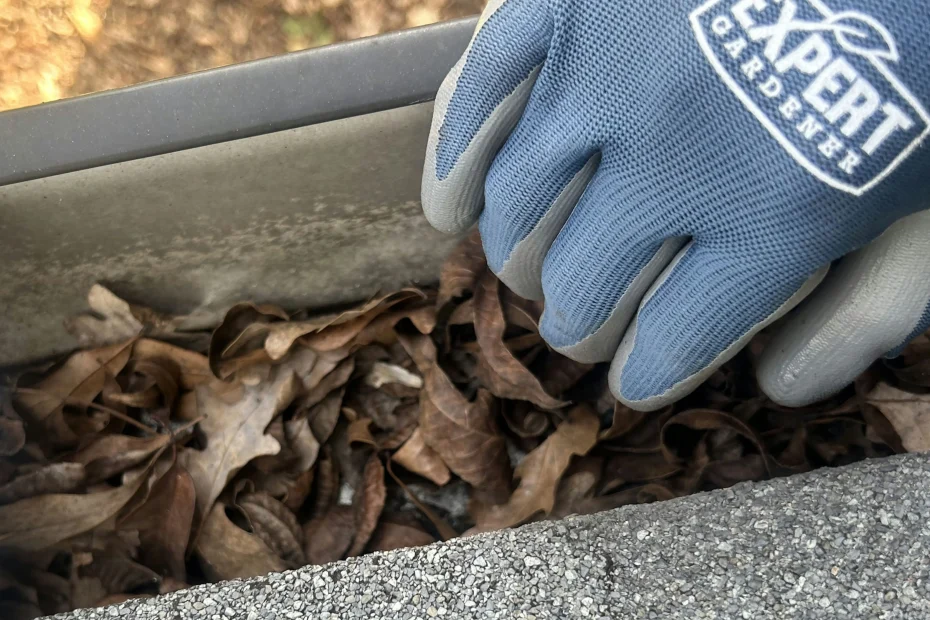 Gutter Cleaning Riverside