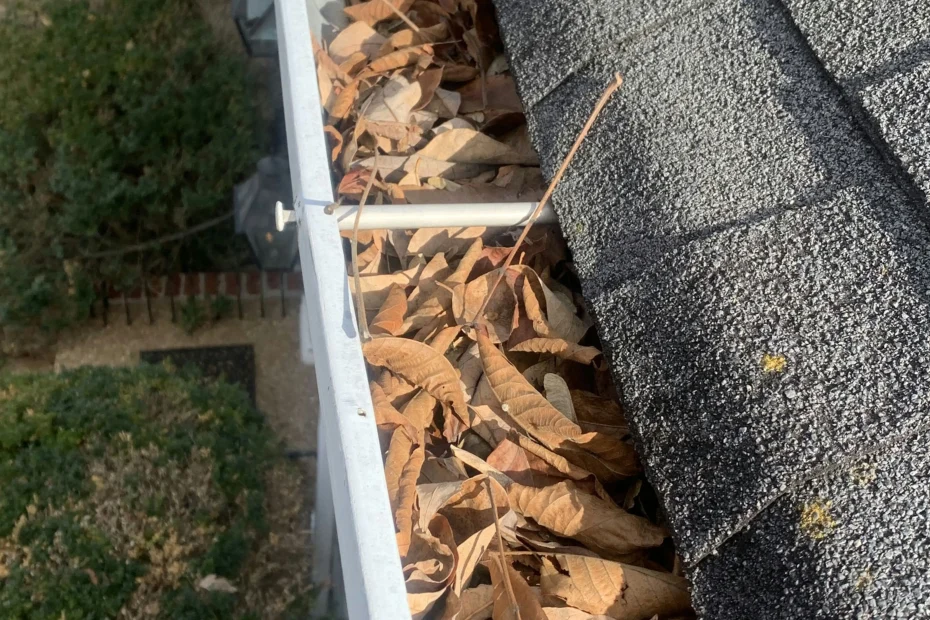 Gutter Cleaning Riverside