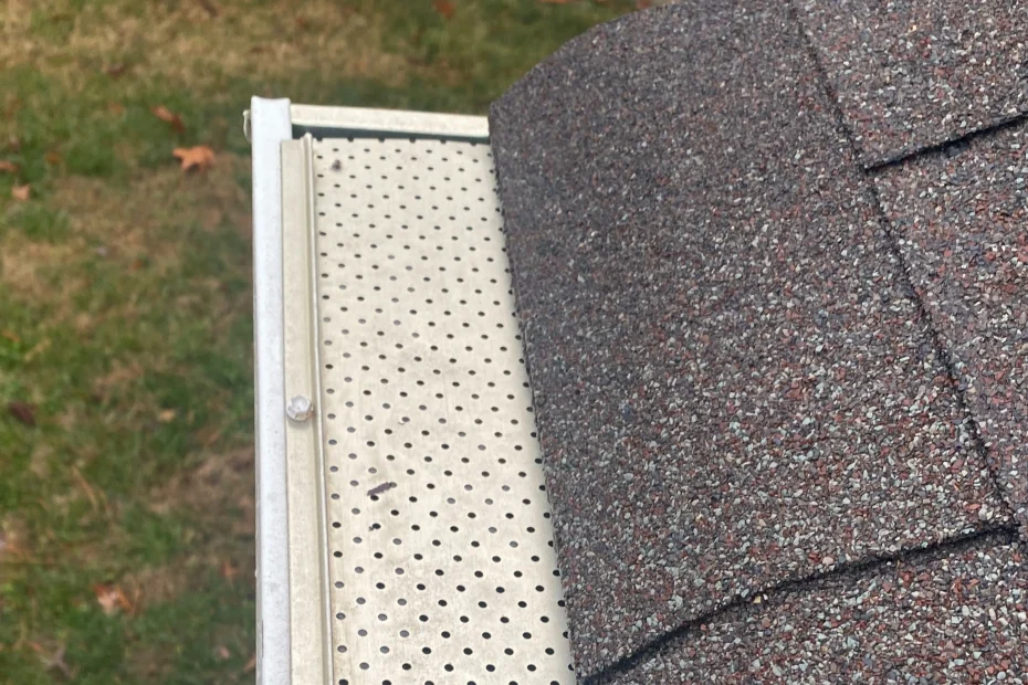 Gutter Cleaning Riverside