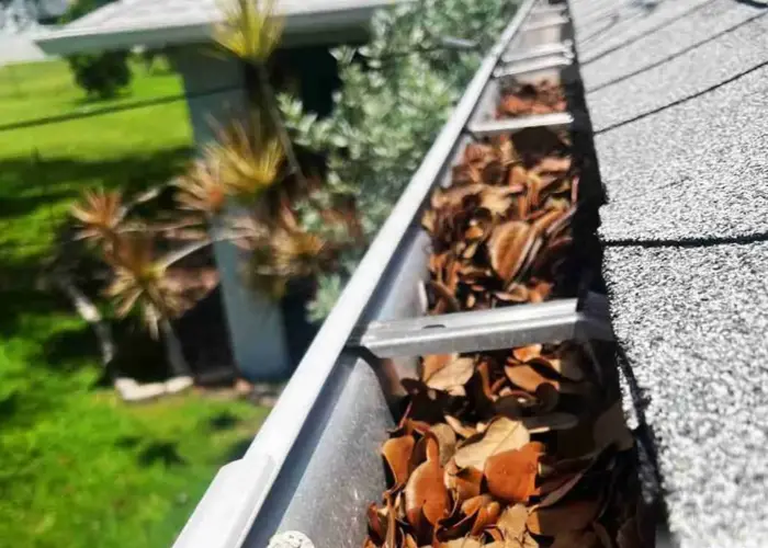 Gutter Cleaning Riverside home page